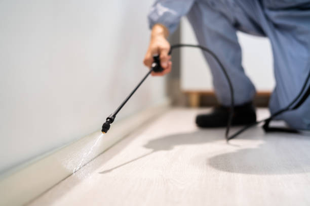 Licensed Rodent Control service in Stonebridge, NJ - Nex Pest Control