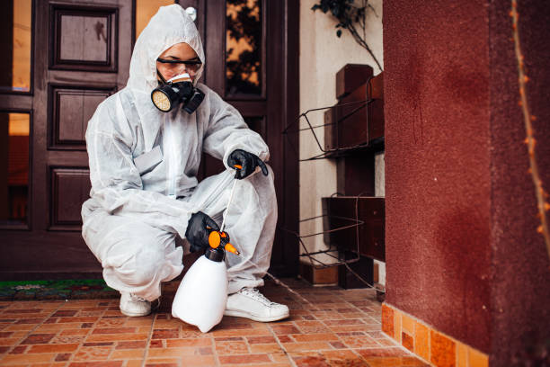 Reliable Rodent Control contractor in Stonebridge, NJ by Nex Pest Control