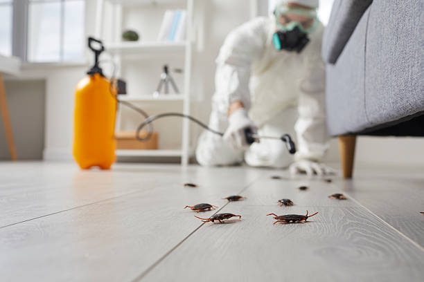 Trusted Rodent Control service in Stonebridge, NJ - Nex Pest Control